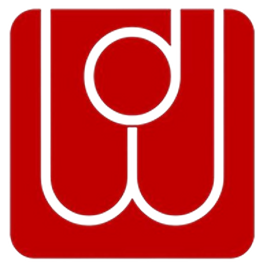 Design Walls Logo